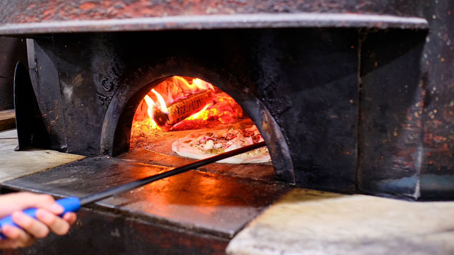 Brandon Amato / Antico Pizza Napoletana